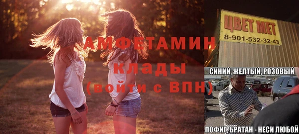 ГАЛЛЮЦИНОГЕННЫЕ ГРИБЫ Арсеньев
