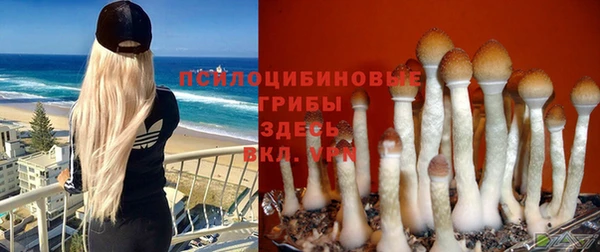 скорость Аркадак