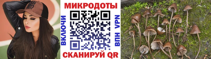 как найти закладки  Рыбное  Галлюциногенные грибы Cubensis 